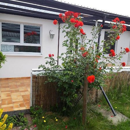Bungalow Usedom Koserow Kültér fotó