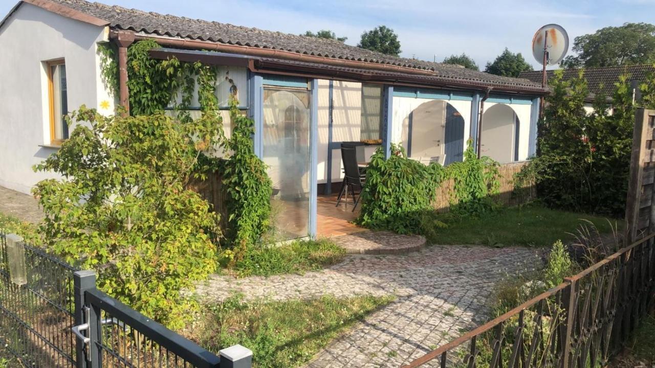 Bungalow Usedom Koserow Kültér fotó